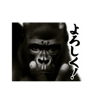 パリピ横揺れゴリラ（個別スタンプ：10）