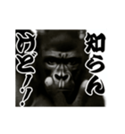 パリピ横揺れゴリラ（個別スタンプ：12）