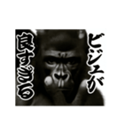 パリピ横揺れゴリラ（個別スタンプ：14）