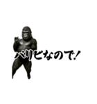 パリピ横揺れゴリラ（個別スタンプ：16）