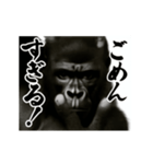 パリピ横揺れゴリラ（個別スタンプ：17）