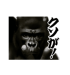 パリピ横揺れゴリラ（個別スタンプ：18）