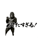 パリピ横揺れゴリラ（個別スタンプ：24）
