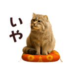 ずっと使える大人の干支お正月スタンプ（個別スタンプ：21）