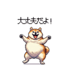 季節の変わり目に気遣い太っちょ柴犬（個別スタンプ：7）