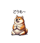 季節の変わり目に気遣い太っちょ柴犬（個別スタンプ：11）