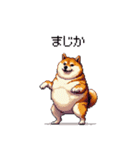 季節の変わり目に気遣い太っちょ柴犬（個別スタンプ：13）