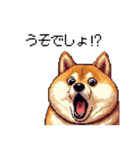 季節の変わり目に気遣い太っちょ柴犬（個別スタンプ：14）