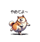 季節の変わり目に気遣い太っちょ柴犬（個別スタンプ：20）