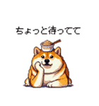 季節の変わり目に気遣い太っちょ柴犬（個別スタンプ：21）