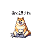 季節の変わり目に気遣い太っちょ柴犬（個別スタンプ：22）