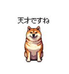 季節の変わり目に気遣い太っちょ柴犬（個別スタンプ：23）