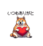 季節の変わり目に気遣い太っちょ柴犬（個別スタンプ：25）