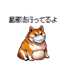 季節の変わり目に気遣い太っちょ柴犬（個別スタンプ：28）