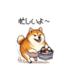 季節の変わり目に気遣い太っちょ柴犬（個別スタンプ：29）