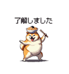 季節の変わり目に気遣い太っちょ柴犬（個別スタンプ：30）