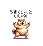 季節の変わり目に気遣い太っちょ柴犬（個別スタンプ：33）