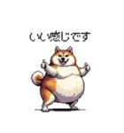 季節の変わり目に気遣い太っちょ柴犬（個別スタンプ：40）