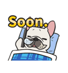 ヨ〜 フレンチブル！（個別スタンプ：1）