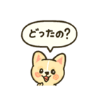 もこワワ【甘えん坊スタンプ】改良版（個別スタンプ：11）