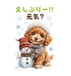 トイプードルの冬BIGスタンプ（個別スタンプ：4）