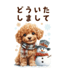 トイプードルの冬BIGスタンプ（個別スタンプ：10）