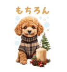 トイプードルの冬BIGスタンプ（個別スタンプ：17）