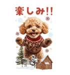 トイプードルの冬BIGスタンプ（個別スタンプ：20）