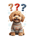 トイプードルの冬BIGスタンプ（個別スタンプ：21）