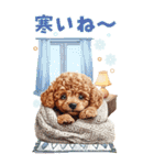 トイプードルの冬BIGスタンプ（個別スタンプ：25）