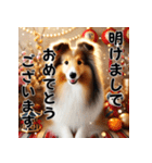 【再販】毎年使えるシェルティ♡年末年始（個別スタンプ：1）