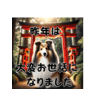 【再販】毎年使えるシェルティ♡年末年始（個別スタンプ：2）