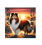 【再販】毎年使えるシェルティ♡年末年始（個別スタンプ：3）