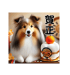 【再販】毎年使えるシェルティ♡年末年始（個別スタンプ：5）