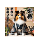 【再販】毎年使えるシェルティ♡年末年始（個別スタンプ：8）