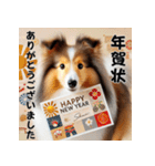 【再販】毎年使えるシェルティ♡年末年始（個別スタンプ：9）