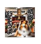 【再販】毎年使えるシェルティ♡年末年始（個別スタンプ：10）