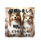 【再販】毎年使えるシェルティ♡年末年始（個別スタンプ：15）