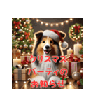 【再販】毎年使えるシェルティ♡年末年始（個別スタンプ：17）