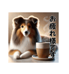 【再販】毎年使えるシェルティ♡年末年始（個別スタンプ：24）