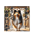 【再販】毎年使えるシェルティ♡年末年始（個別スタンプ：25）
