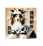 【再販】毎年使えるシェルティ♡年末年始（個別スタンプ：30）