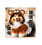 【再販】毎年使えるシェルティ♡年末年始（個別スタンプ：31）