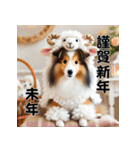 【再販】毎年使えるシェルティ♡年末年始（個別スタンプ：36）