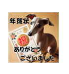 【再販】毎年使えるイタグレ♡年末年始（個別スタンプ：4）