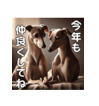 【再販】毎年使えるイタグレ♡年末年始（個別スタンプ：12）