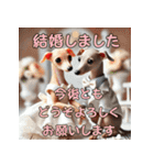 【再販】毎年使えるイタグレ♡年末年始（個別スタンプ：13）