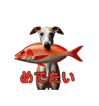 【再販】毎年使えるイタグレ♡年末年始（個別スタンプ：14）