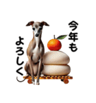 【再販】毎年使えるイタグレ♡年末年始（個別スタンプ：15）