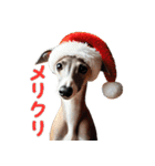 【再販】毎年使えるイタグレ♡年末年始（個別スタンプ：23）